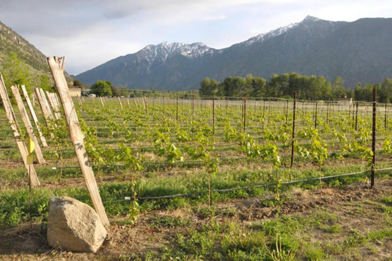 Similkameen Wild Resort & Winery Retreat Osoyoos Ngoại thất bức ảnh